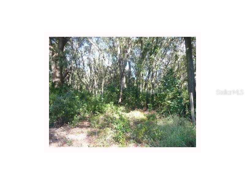 Sydney Rd., Dover, FL 33527