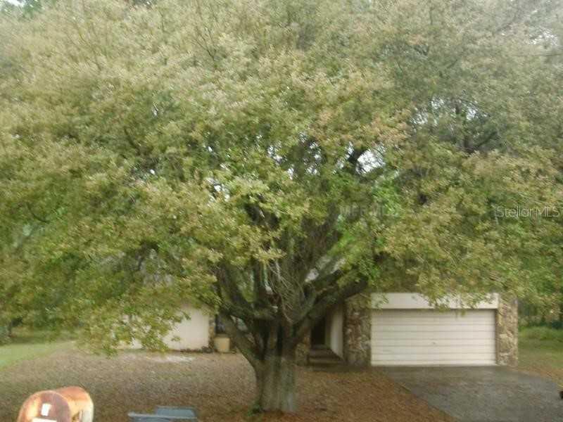 15240 N 13th St., Lutz, FL 33549