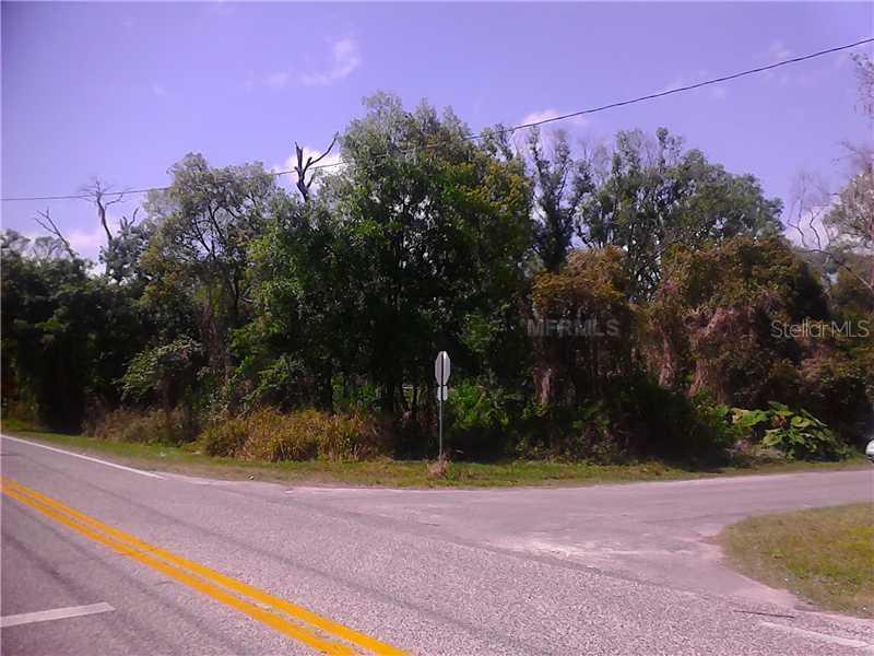 729 Crystal Lake Rd., Lutz, FL 33548