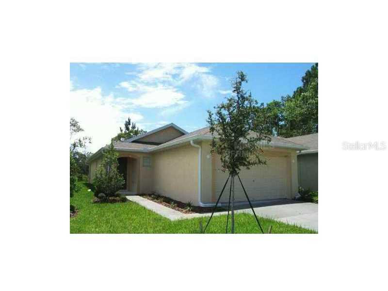 7006 Kendall Heath Way, Land O Lakes, FL 34637