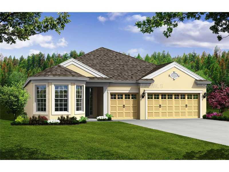 30139 Hackney Loop, Mount Dora, FL 32757