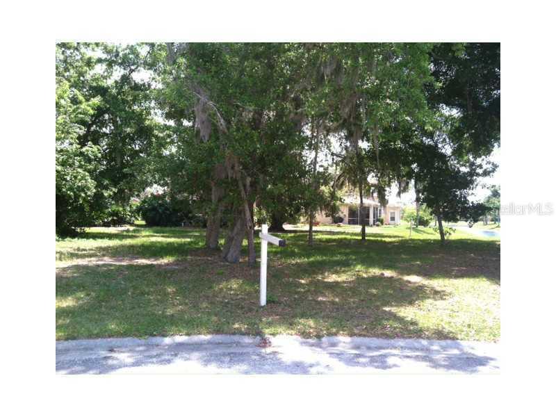 21006 Los Cabos Ct., Land O Lakes, FL 34637