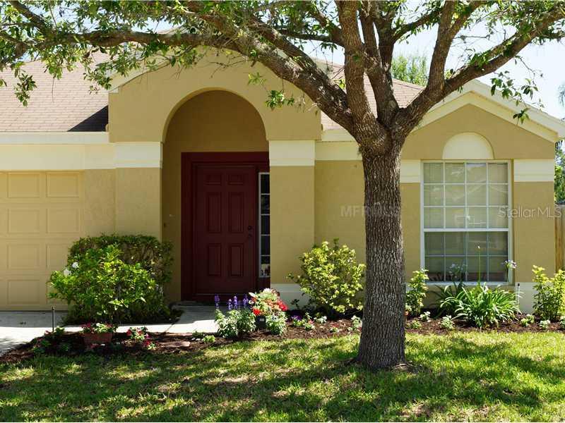 29941 Morningmist Dr., Wesley Chapel, FL 33543