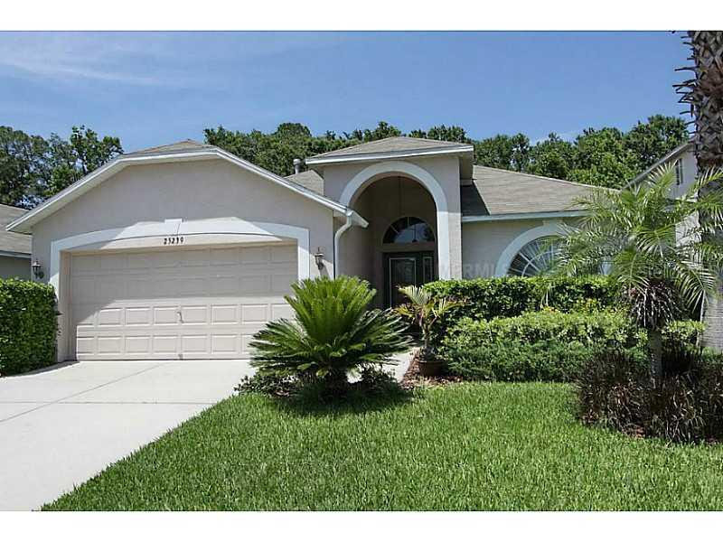 25239 Geddy Dr., Land O Lakes, FL 34639