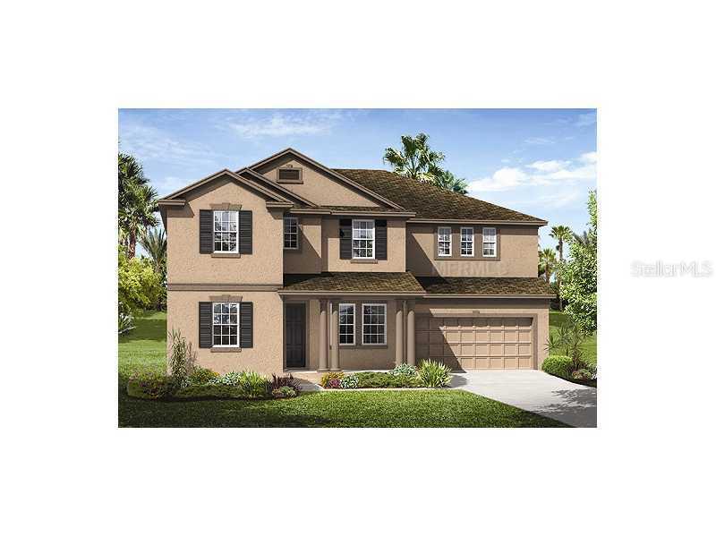 6910 Rocky Canyon Way, Tampa, FL 33625