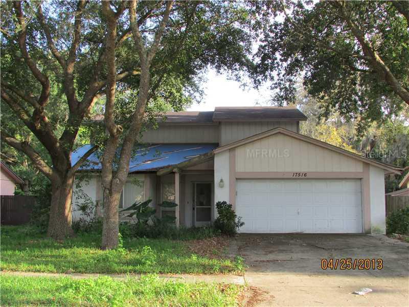 17516 Willow Pond Dr., Lutz, FL 33549
