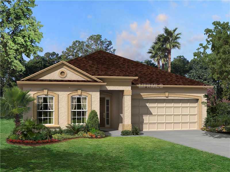 11513 Scarlet Ibis Pl., Riverview, FL 33569