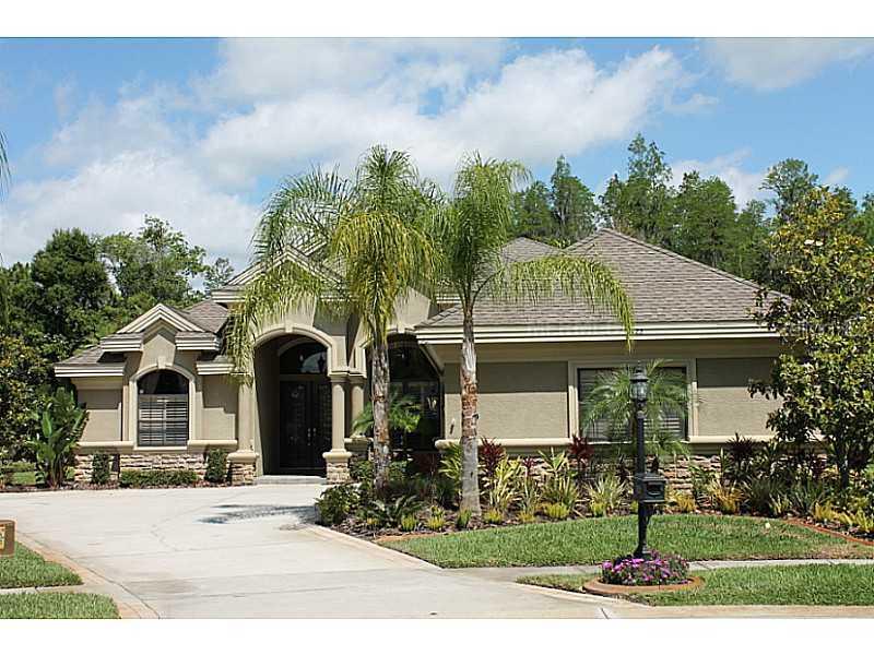 1423 Aristides Ct., Odessa, FL 33556