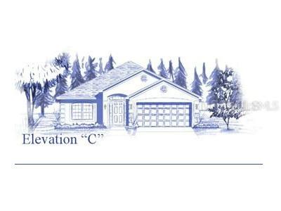 18452 Fish Loop, Land O Lakes, FL 34638