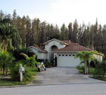 30652 Nickerson Loop, Wesley Chapel, FL 33543