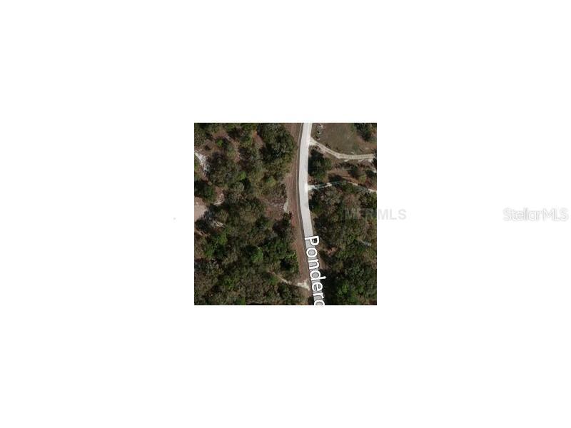 Ponderosa Trail, Wimauma, FL 33598