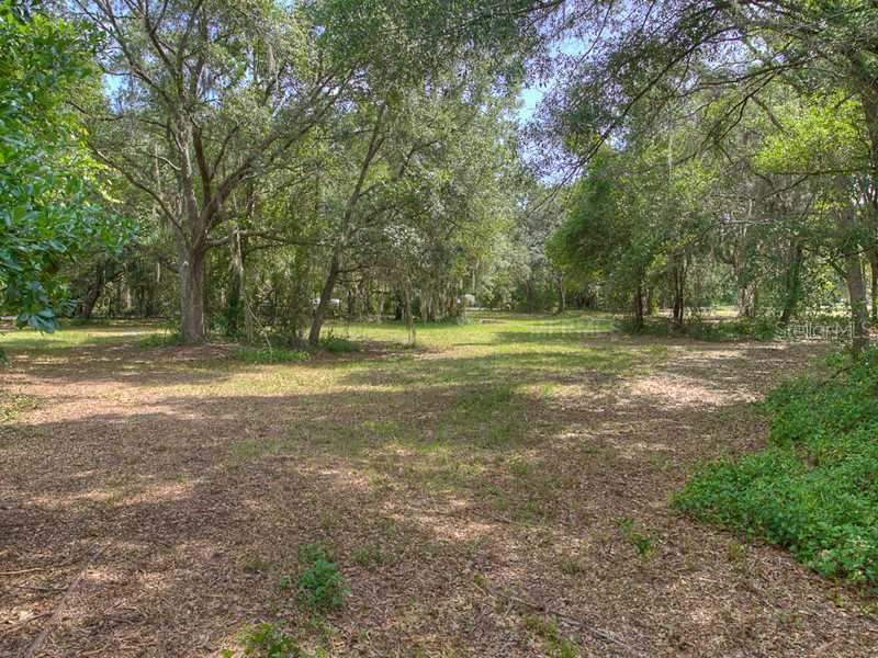 15118 N 23rd St., Lutz, FL 33549