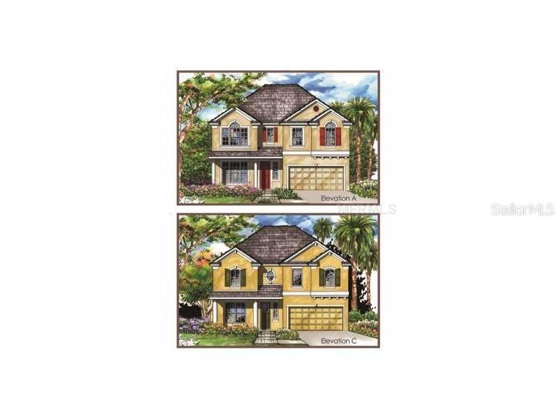 19309 Water Maple Dr., Tampa, FL 33647