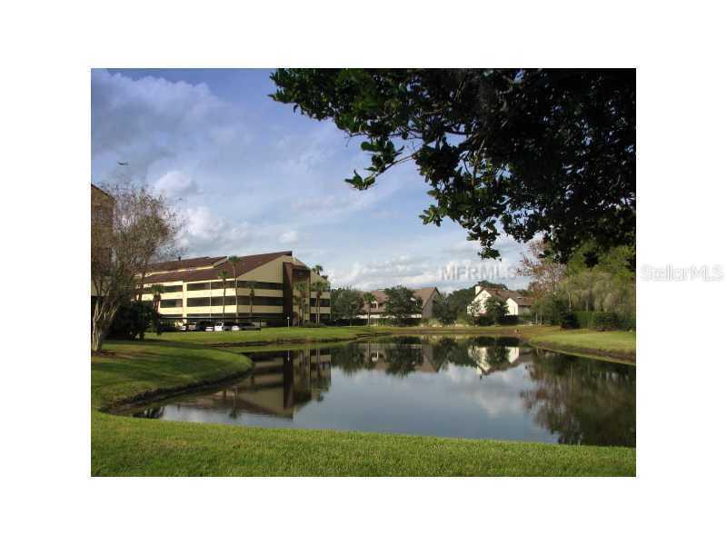 13608 S Village Dr. #6101, Tampa, FL 33618