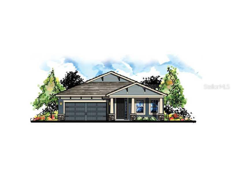 6303 Hawk Grove Ct., Wesley Chapel, FL 33545