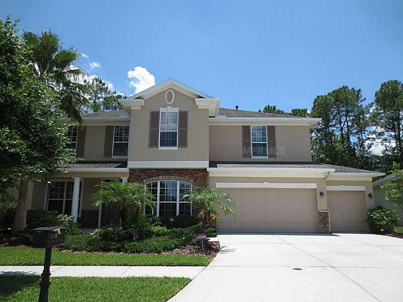 16106 Colchester Palms Dr., Tampa, FL 33647