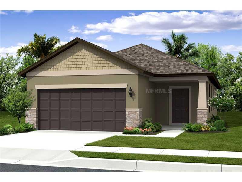 4508 Paper Mulberry Pl., Riverview, FL 33578