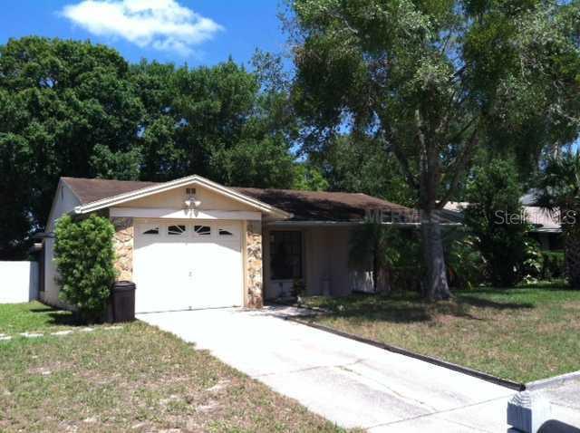 12504 Queensland Ln., Tampa, FL 33625
