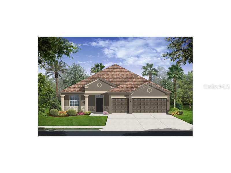 1387 Dolphin Head St., Davenport, FL 33896