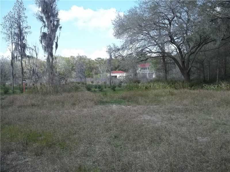 17331 Linda Vista Cir., Lutz, FL 33548