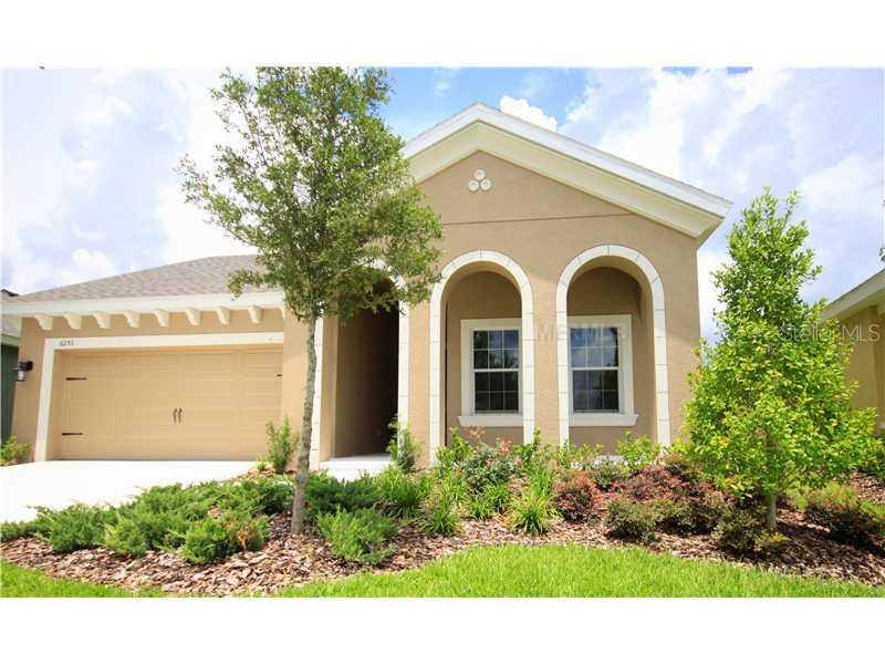 6253 Hawk Grove Ct., Wesley Chapel, FL 33545