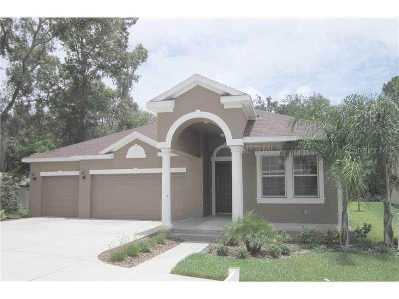 6934 Rocky Canyon Way, Tampa, FL 33625