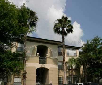 17110 Carrington Park Dr. #816, Tampa, FL 33647