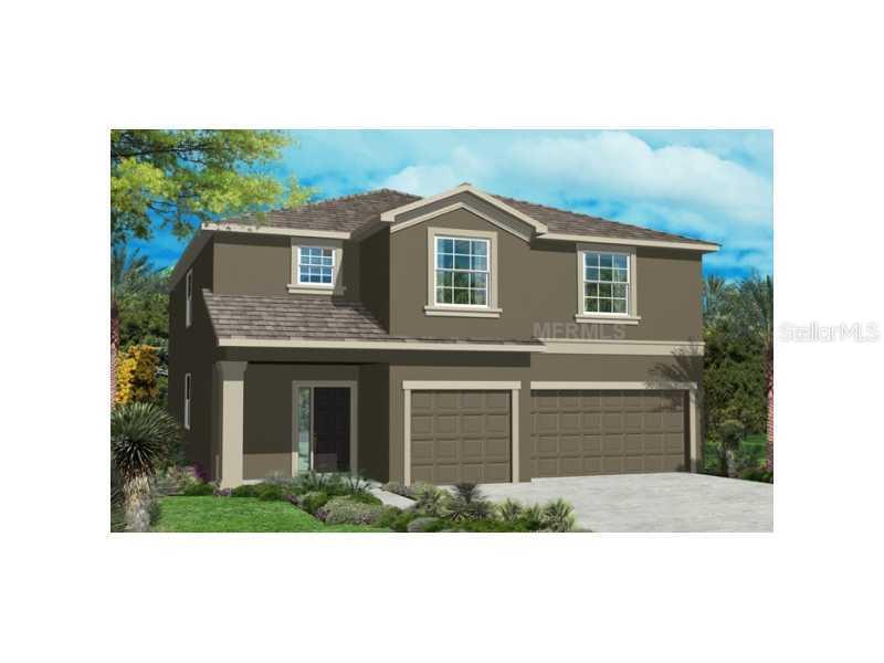 10407 Summer Azure Dr., Riverview, FL 33578