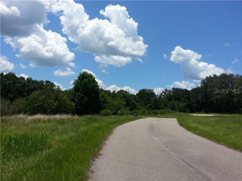 2514 Tylers River Run, Lutz, FL 33559