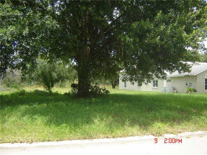 8803 Wellesly Ct., Odessa, FL 33556
