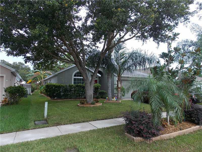 13517 White Elk Loop, Tampa, FL 33626