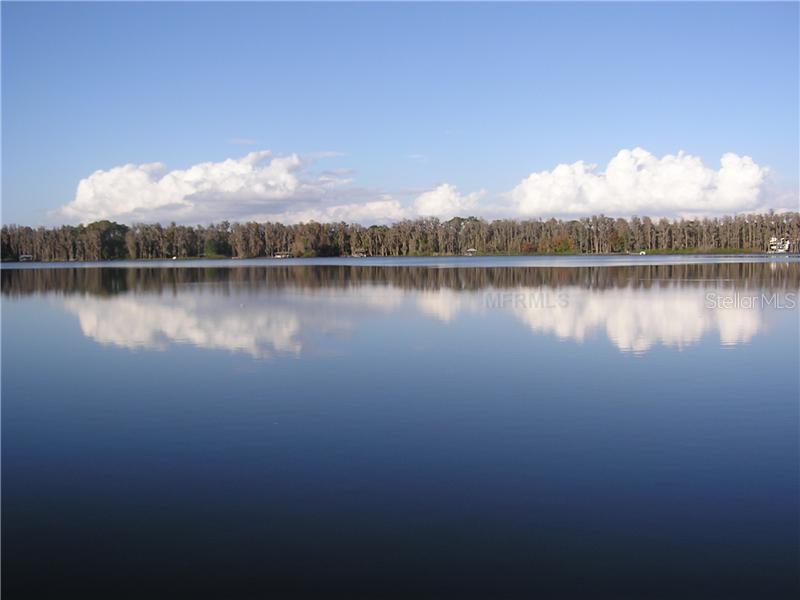 16320 Rock Lake Dr., Odessa, FL 33556