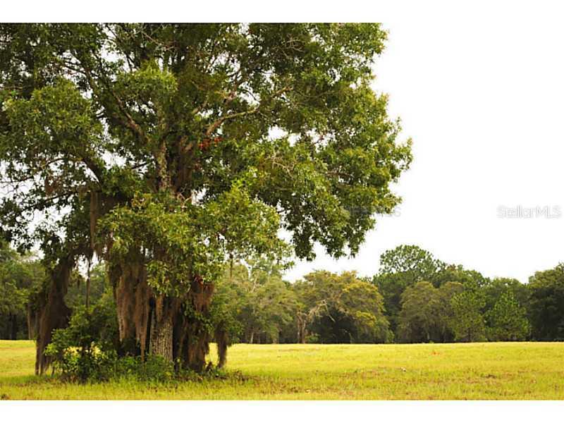 Buczak Road, Brooksville, FL 34614