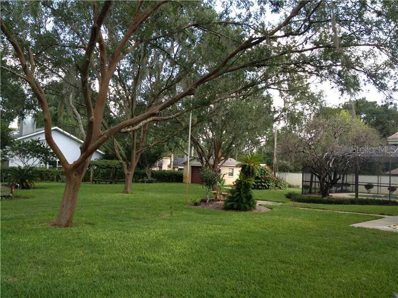 17302 Minnie Pl, Lutz, FL 33549