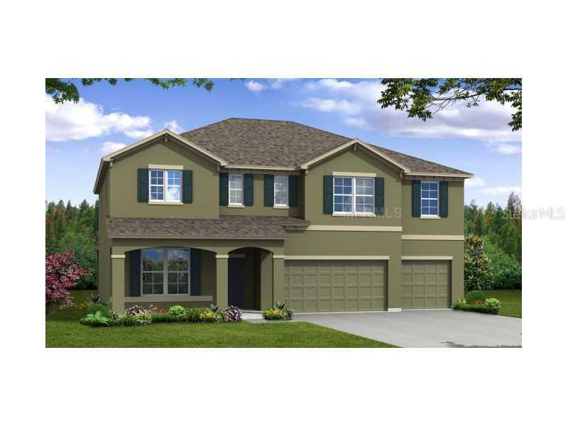 22663 Cherokee Rose Pl, Land O Lakes, FL 34639