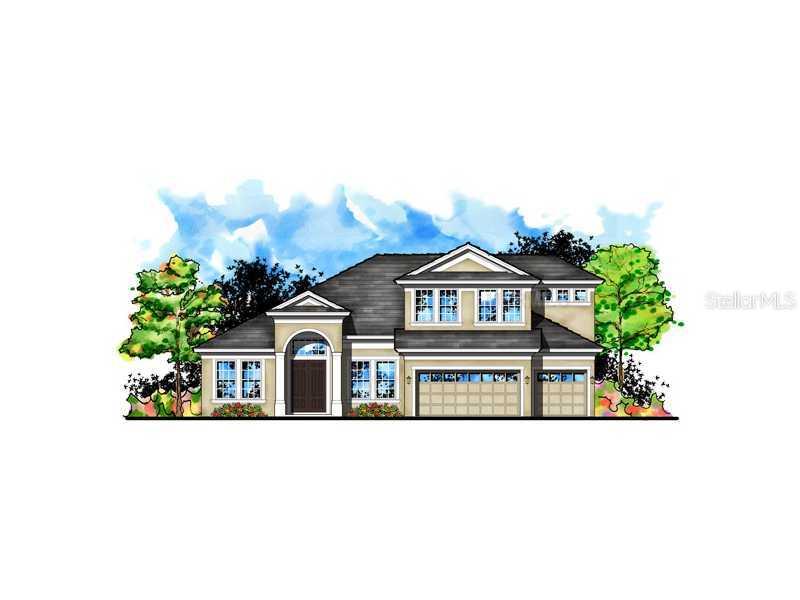 8319 Swiss Chard Cir., Land O Lakes, FL 34637
