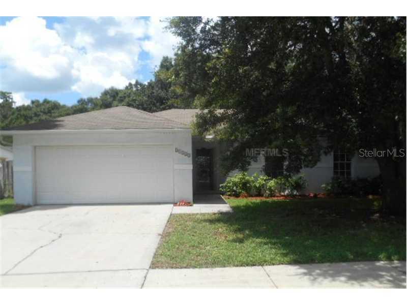 24323 Painter Dr., Land O Lakes, FL 34639