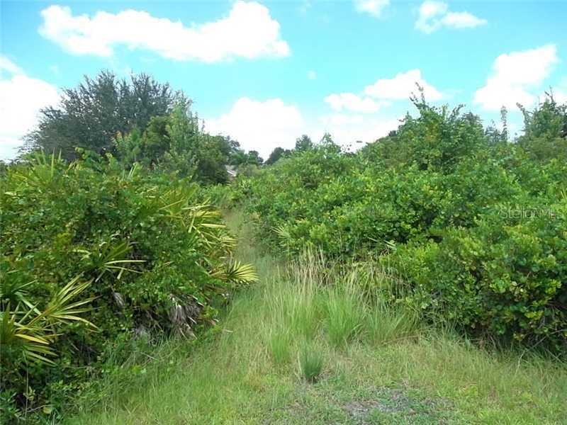 Pheasant Run, Zephyrhills, FL 33544