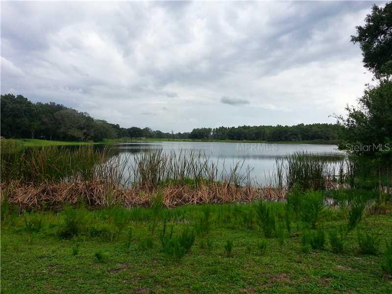12222 Garden Lake Cir., Odessa, FL 33556