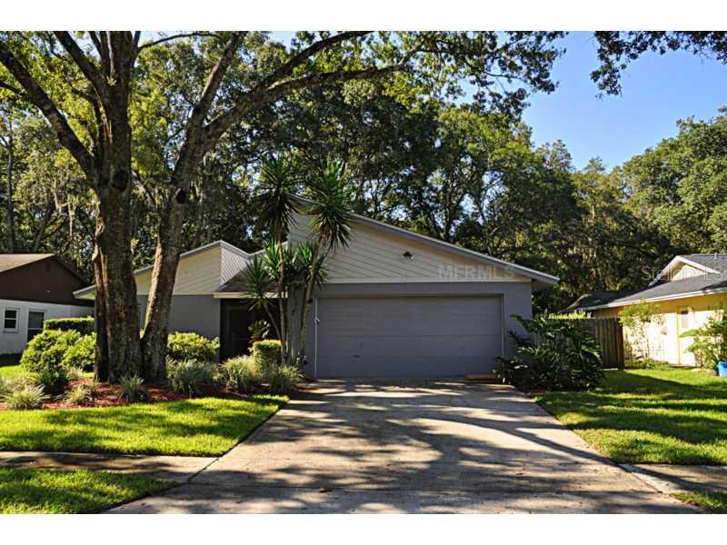 2364 Windsor Oaks Ave., Lutz, FL 33549