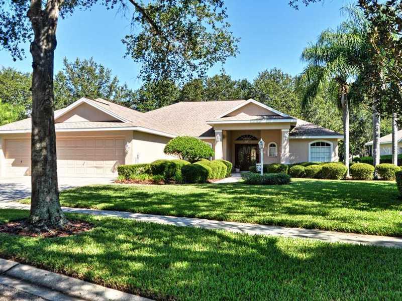 3834 Spruce Pine Dr., Valrico, FL 33596