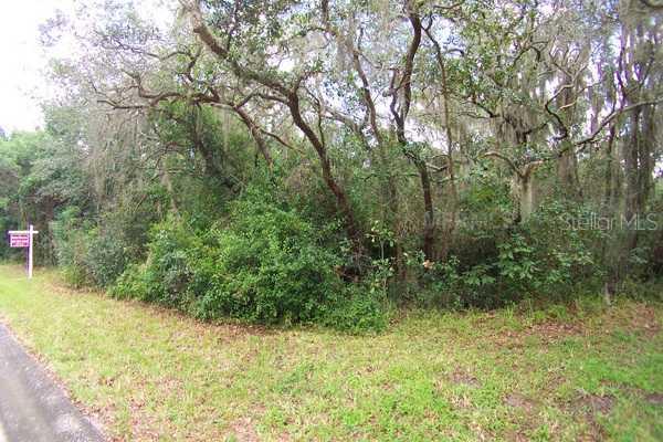 11504 Heron Hills Ln., Riverview, FL 33569