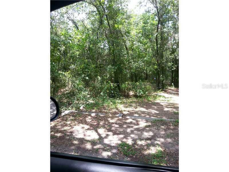 0 Frank Griffin Ave, Plant City, FL 33565