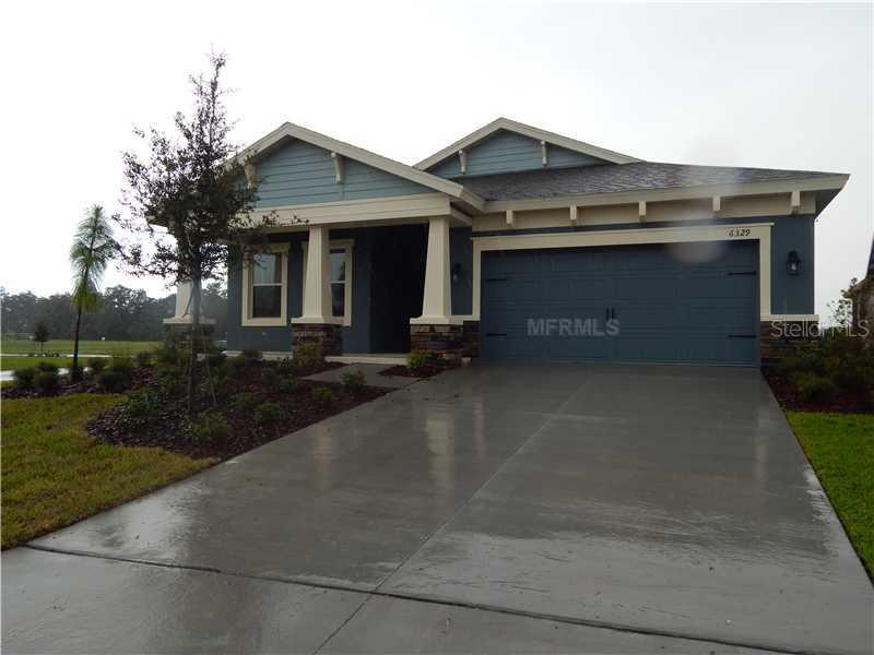 6329 Hawk Grove Ct., Wesley Chapel, FL 33545