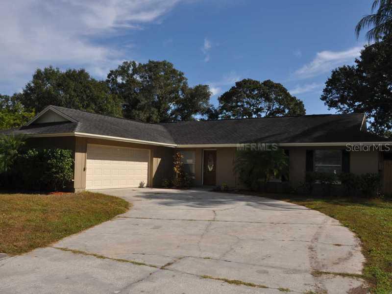 14105 Cherry Orchard Run, Tampa, FL 33618