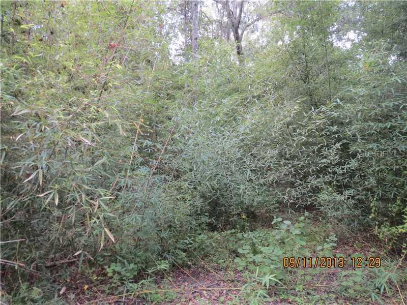 (parcel 1) Coyote Pass, Brooksville, FL 34601