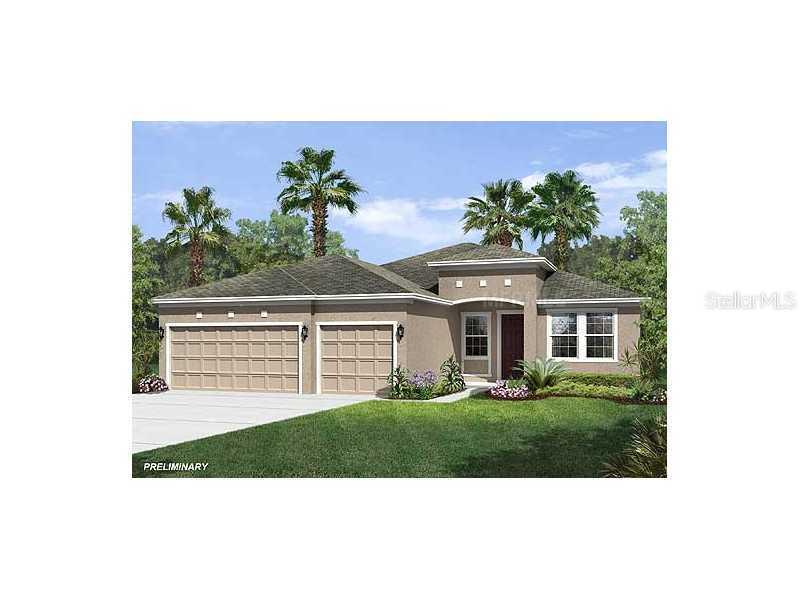 2117 Valterra Vista Way, Valrico, FL 33594