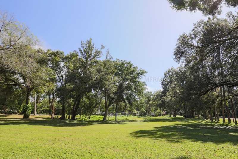 6407 N Woodlynne Ave., Tampa, FL 33614