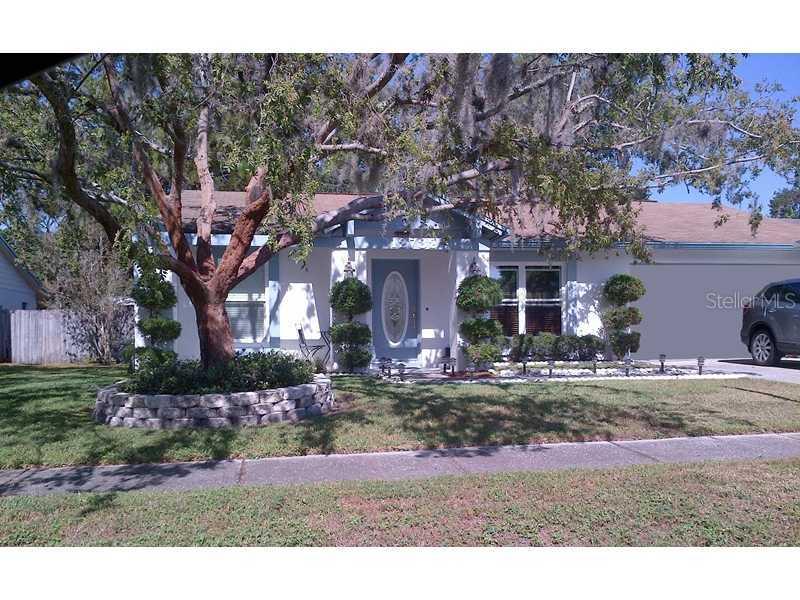 12732 Trucious Pl., Tampa, FL 33625