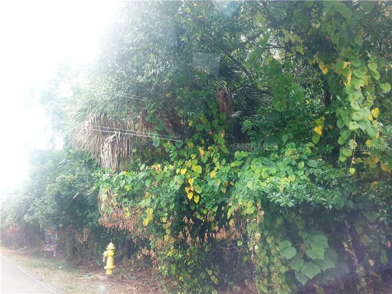Hackney Drive, Riverview, FL 33578